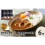 加工品等 レトルト イカカレー 6箱セット 160g×6箱