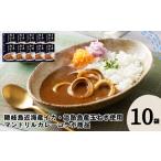 加工品等 レトルト イカカレー 10箱セット 160g×10箱