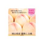 もも 2027年発送 樹熟し白桃 5-8玉 約2kg