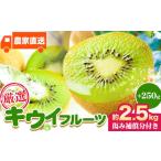 厳選 キウイ フルーツ 約2.5kg
