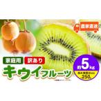 果物類 ご キウイ フルーツ 約5kg