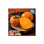 みかん 柑橘類 レモン たねなし柿 2.5kg