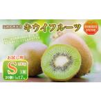 プレミアム キウイ フルーツ Sサイズ 20個入