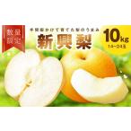 梨 30 新興梨 10kg