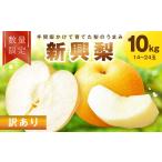 梨 30 訳あり 新興梨 10kg
