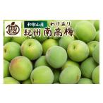 果物類 青梅 南高梅 5kg+250g ikd508-c-5H