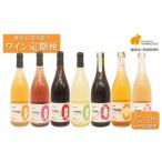 ワイン 6ヶ月定期便 毎月お届け デイリーワイン 750ml×1本
