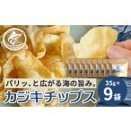 魚貝類 与那国島産 カジキ100%使用 カジキチップス 35g×9袋