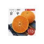 みかん 柑橘類 先行受付 愛媛の高級柑橘の一つ