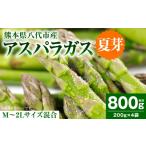 fu.... налог овощи вид спаржа Kumamoto префектура . плата город спаржа 800g (M~2L размер смешивание )aspala свежий лето овощи овощи .... прямая поставка от производителя овощи сомелье sami...