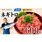 マグロ 冷蔵 ネギトロ 小分け まぐろたたき 600g
