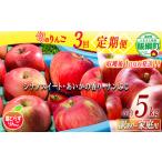 りんご 定期便 フレッシュ便 旬のりんご 訳あり 5kg