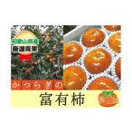 柿 栗 富有柿 秀品 約2kg
