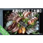 旬の鮮魚等 お造りボックス 大箱