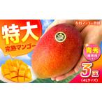 マンゴー 秀品 菊池マンゴー3玉 各625g以上