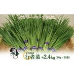 野菜類 長井特産行者菜約2.4kg 80g×30束