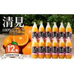 果汁飲料 みかん 搾りたて 清見100%ジュース 1000ml