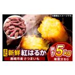 野菜類 サツマイモ さつまいも 訳あり 紅はるか 約5kg