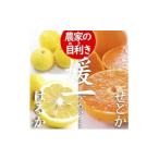 みかん 柑橘類 先行受付 よくばり2箱セット