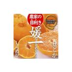 みかん 柑橘類 先行受付 よくばり2箱セット