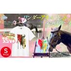 服 TVで紹介 ワンダーアキュート画伯 作