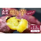 野菜類 サツマイモ 訳あり 紅はるか 冷凍 焼き芋 約1.5kg