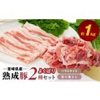 豚肉 セット 産熟成豚 よくばり2種セットB