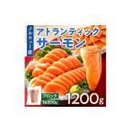fu.... налог рыба моллюски salmon Fukuoka префектура Kasuya блок Atlantic salmon sashimi salmon Poe shon блок .1200g AE024-2 1.2kg