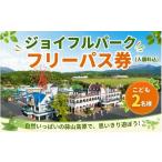 入場券 優待券 ヒルゼン高原センター ジョイフルパーク