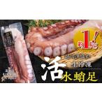 fu.... налог осьминог Hokkaido ... блок . река .. departure . вода . пара сырой рефрижератор ( примерно 1kg)..... налог популярный рекомендация классификация .. вода .. осьминог sashimi вода .. sashimi для морепродукты...