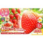 定番 紅ほっぺ 約300g