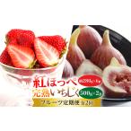 いちご 発送月固定定期便 ミズノ農園 紅ほっぺ280g×6