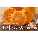 和歌山 田村みかん 約10kg