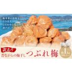 加工品等 梅干 昔ながらの梅干し 訳あり つぶれ梅 約1kg