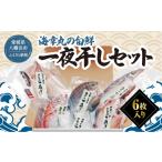 干物 海幸丸の旬鮮一夜干しセット 6枚入