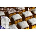 焼菓子 チョコレート バウムクーヘン 羽二重結びバウム 16個