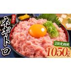 マグロ 定期便2回 ネギトロ 月1回 1050g