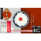 米 新之助 10kg