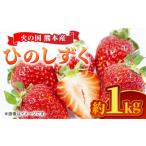 いちご ひのしずく 約1kg