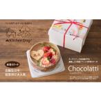 ケーキ カステラ ペットフード 米粉で作った至福のケーキ
