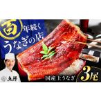 うなぎ 通常配送 三河一色産 上 うなぎ蒲焼 3尾