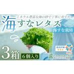 野菜類 フリルレタス 海すなレタス 6個入×3箱