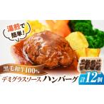 黒毛和牛100%デミグラスソースハンバーグ 計12個