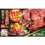 馬肉 希少部位と贅沢なふじ馬刺し厳選セット
