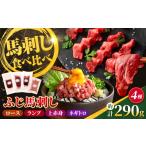 馬肉 熊本特産 赤身馬刺し3種とネギトロの詰合せセット