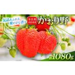 ふるさと納税 いちご 奈良県 奈良市 いちご かおり野 約1080g 1パック約270g 4パック 2027年発送 鶏冠果 サイズ混合 不揃い 数量限定 冷蔵 イチゴ 苺 itigo ic…
