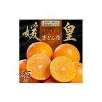 みかん 柑橘類 先行受付 愛媛の高級柑橘の一つ