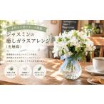 水替え不要でずっと綺麗 ジャスミンの癒しガラスアレンジ