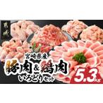 産豚肉&鶏肉いろどり5.3kgセット