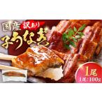 うなぎ 訳あり 鰻 100g×1尾